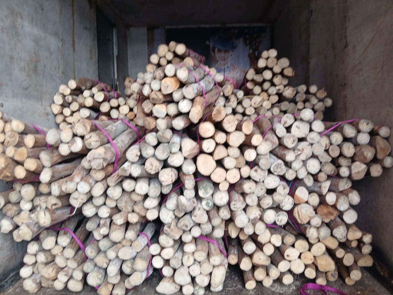 Cinnamon Firewood Store