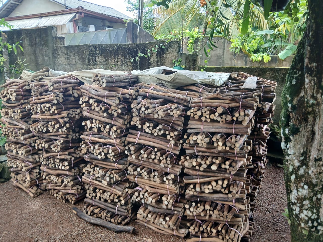 Cinnamon Firewood Store