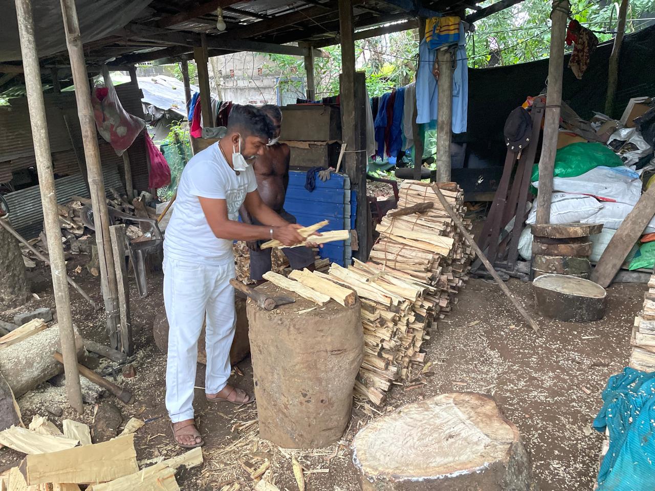 Cinnamon Firewood Production